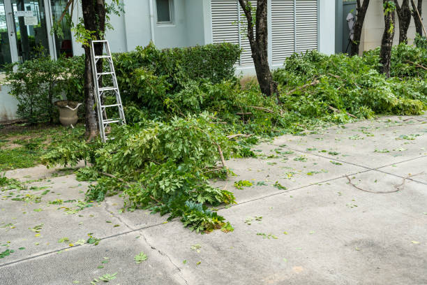 Best Lawn Irrigation Installation and Maintenance  in Lexington Hills, CA